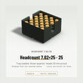 Headcount 7.62×25 2×2 tray loaded with 25 rounds, three-quarter view, heads standing 10 mm proud of the hex field (render)