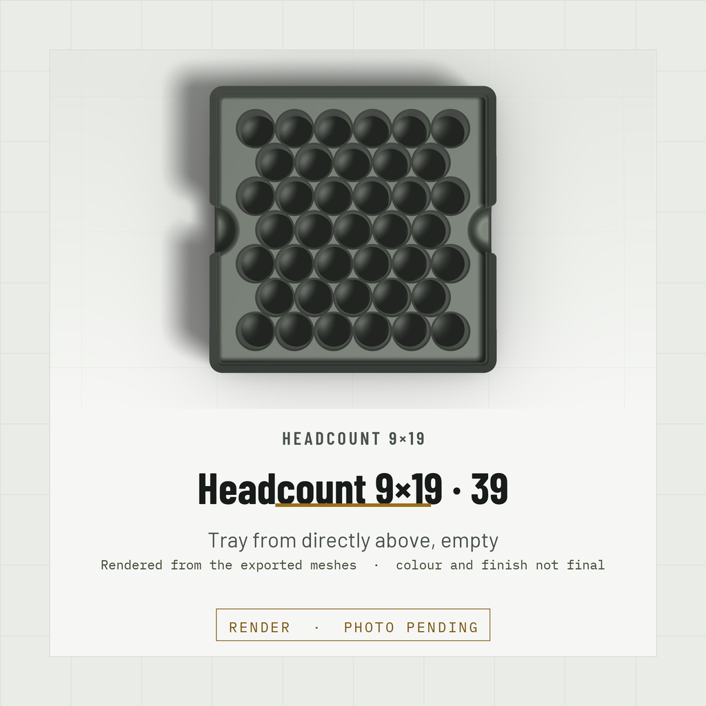 Headcount 9×19 2×2 tray, empty, from directly above showing the hex field of 39 bores (render)
